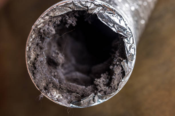 Best Air Duct Cleaning Company Near Me  in Yorktown, IN