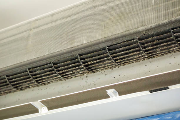 Best Affordable Air Duct Cleaning  in Yorktown, IN